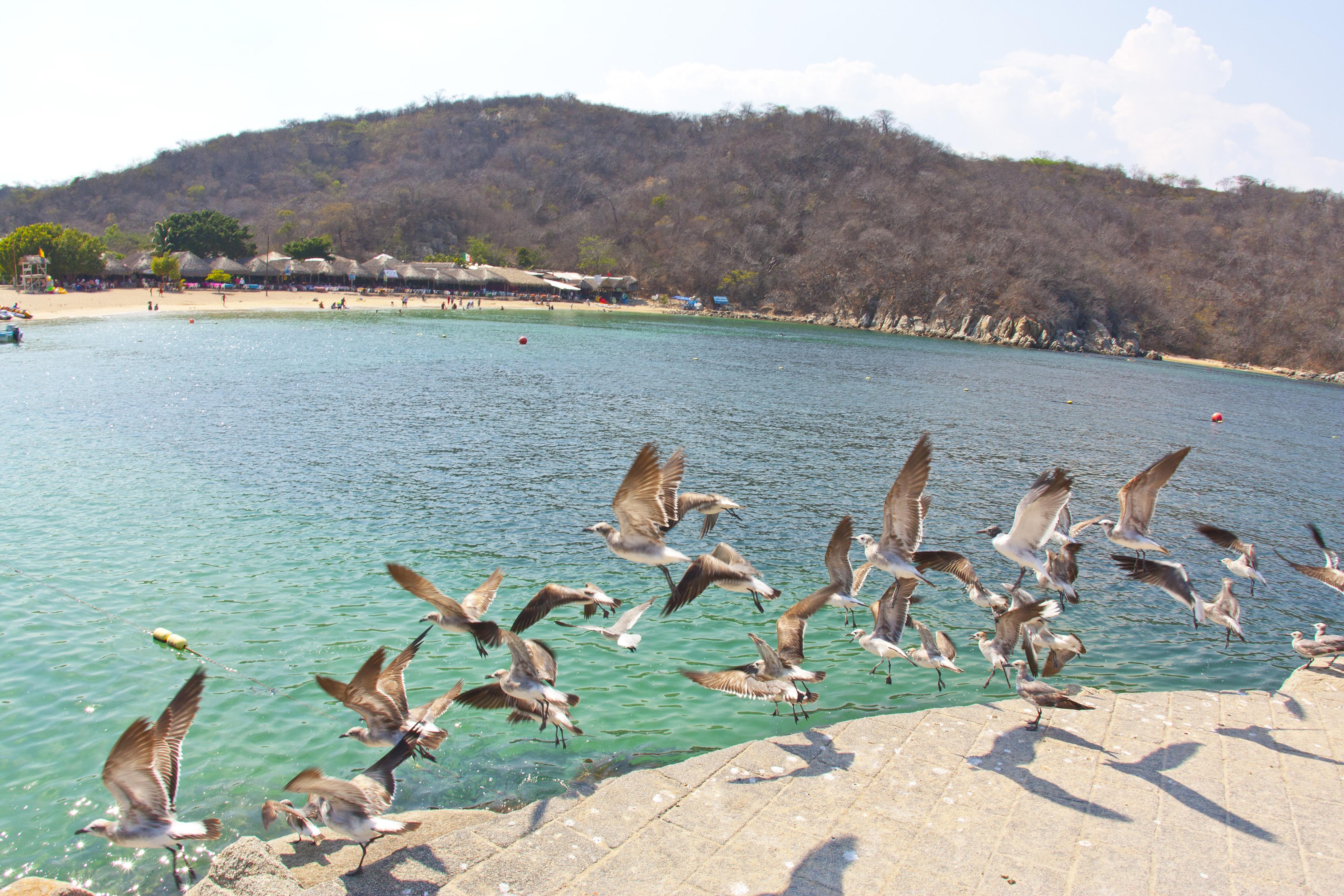 Villa Blanca Huatulco Santa Cruz Huatulco Exterior photo